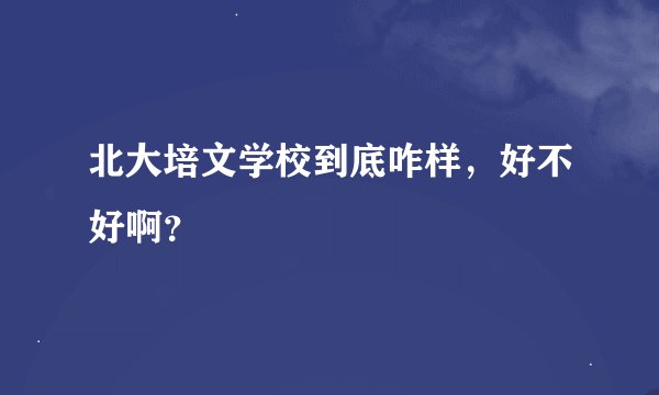 北大培文学校到底咋样，好不好啊？