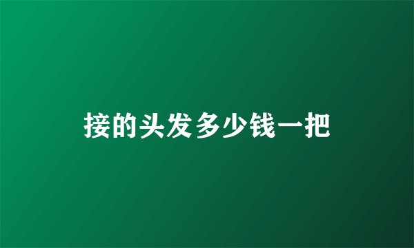 接的头发多少钱一把