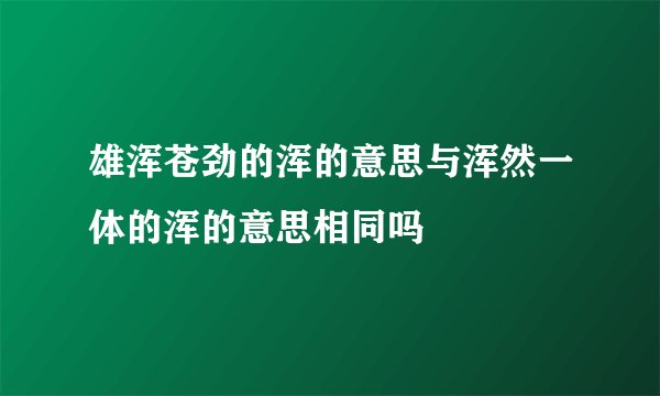 雄浑苍劲的浑的意思与浑然一体的浑的意思相同吗