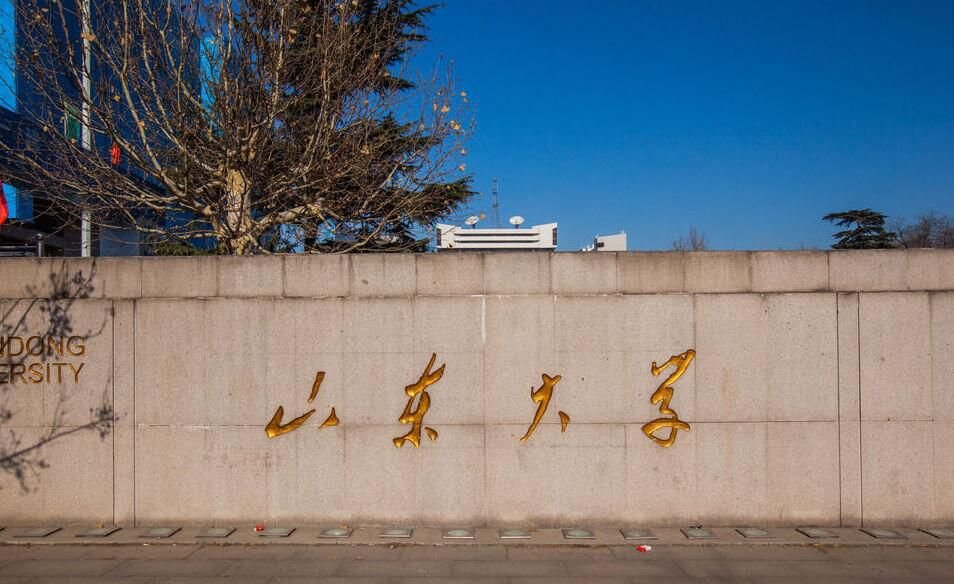 山东大学和山东大学都有什么专业