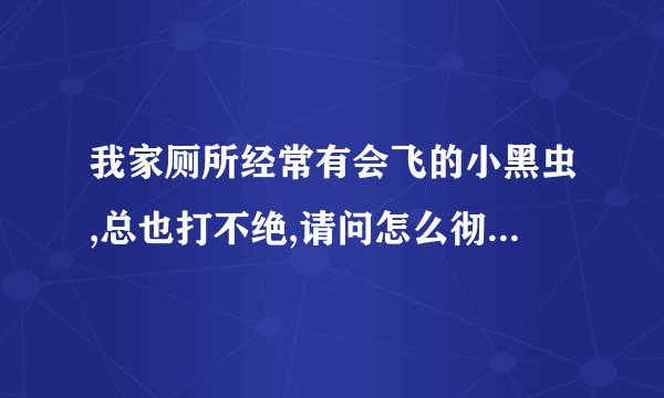 我家厕所经常有会飞的小黑虫,总也打不绝,请问怎么彻底消灭它?