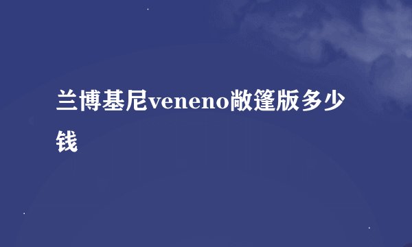 兰博基尼veneno敞篷版多少钱