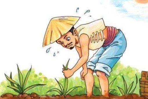 揠苗助长这则寓言告诉我们一个什么道理
