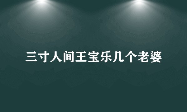 三寸人间王宝乐几个老婆
