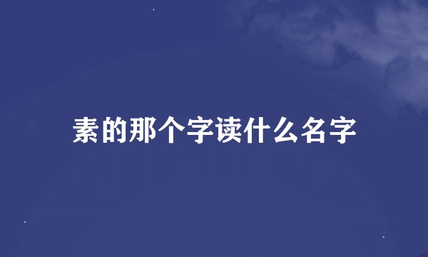 素的那个字读什么名字