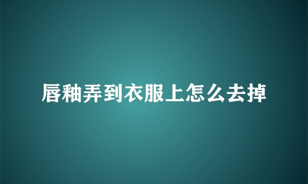 唇釉弄到衣服上怎么去掉