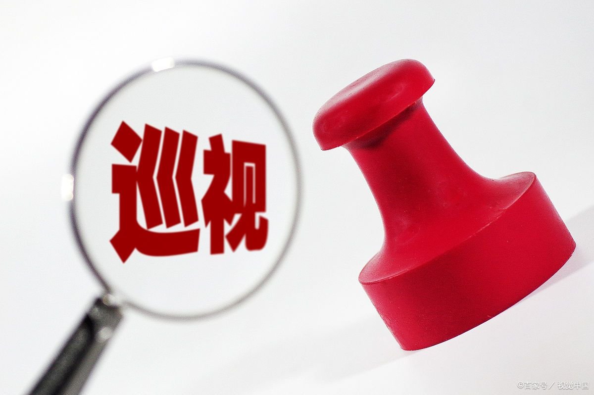 中国巡视员的职位如何设定的？