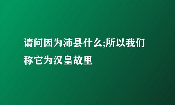 请问因为沛县什么;所以我们称它为汉皇故里
