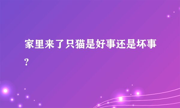 家里来了只猫是好事还是坏事?