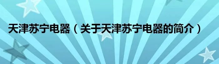 天津苏宁电器（关于天津苏宁电器的简介）