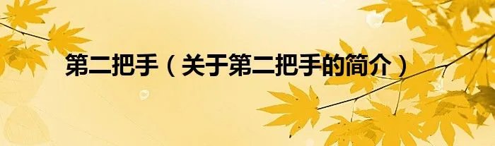 第二把手（关于第二把手的简介）