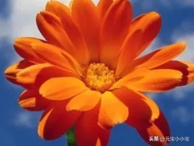 今年夏天又四十度了什么意思?