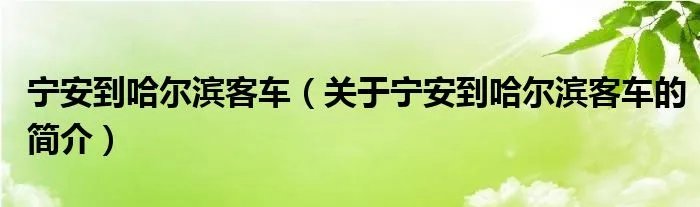 宁安到哈尔滨客车（关于宁安到哈尔滨客车的简介）