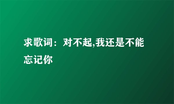 求歌词：对不起,我还是不能忘记你