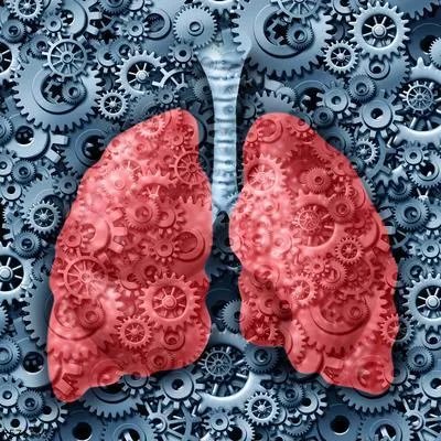 宝宝支气管肺炎症状有哪些 宝宝支气管肺炎的4症状揭晓