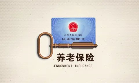 个人养老保险金缴费标准