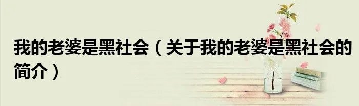 我的老婆是黑社会（关于我的老婆是黑社会的简介）
