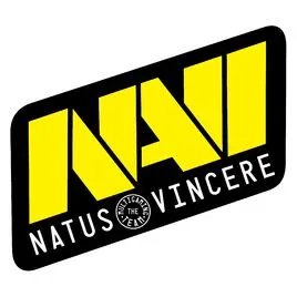 《DOTA2》NaVi战队介绍