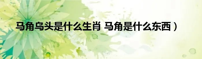 马角乌头是什么生肖 马角是什么东西）