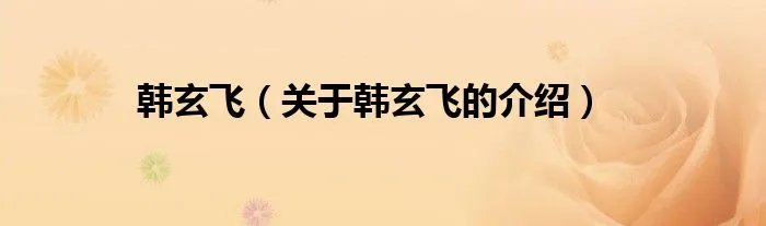 韩玄飞（关于韩玄飞的介绍）