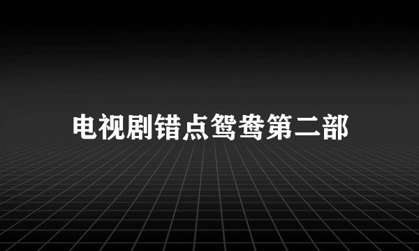 电视剧错点鸳鸯第二部