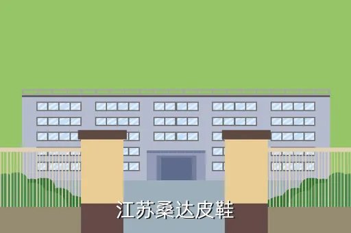 建湖县森达小学，江苏桑达皮鞋