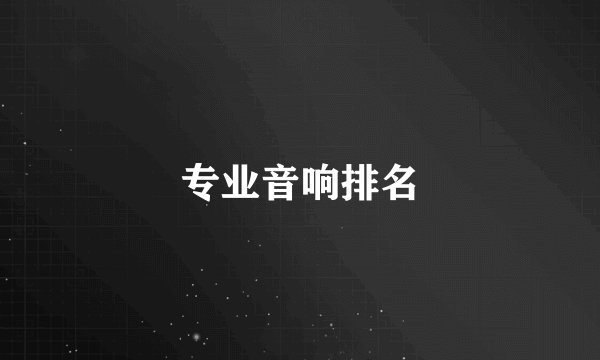 专业音响排名