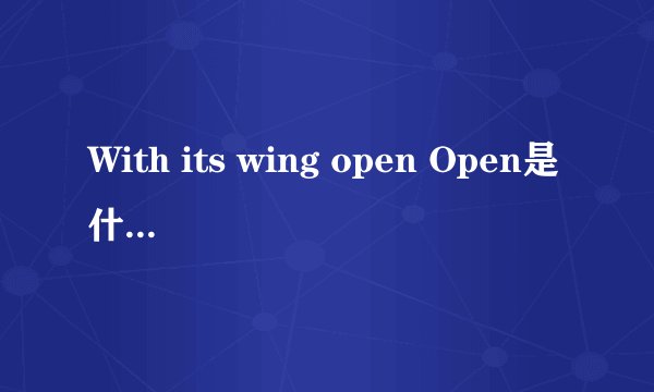 With its wing open Open是什么词性 你wing之间有什么关系？