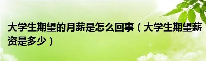 大学生期望的月薪是怎么回事（大学生期望薪资是多少）