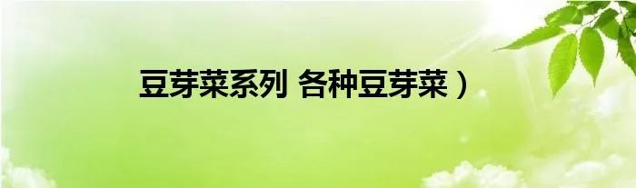 豆芽菜系列 各种豆芽菜）