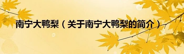 南宁大鸭梨（关于南宁大鸭梨的简介）