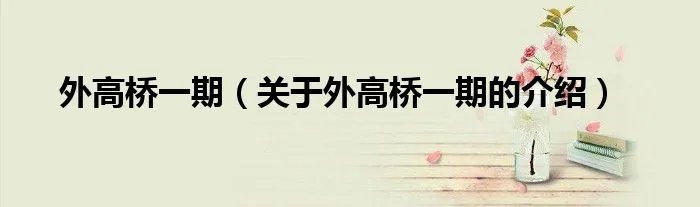 外高桥一期（关于外高桥一期的介绍）