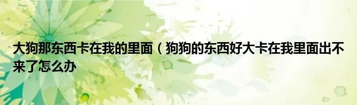 大狗那东西卡在我的里面（狗狗的东西好大卡在我里面出不来了怎么办