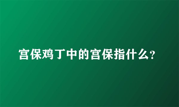 宫保鸡丁中的宫保指什么？