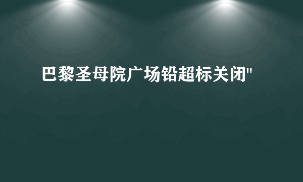 巴黎圣母院广场铅超标关闭