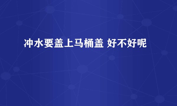 冲水要盖上马桶盖 好不好呢