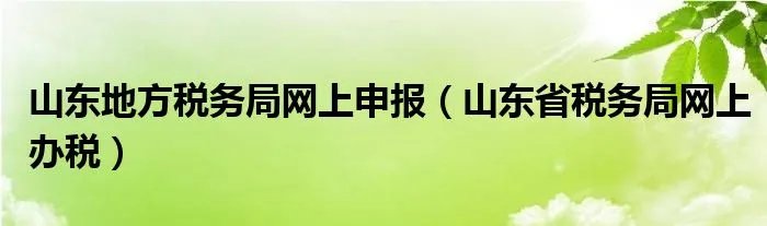 山东地方税务局网上申报（山东省税务局网上办税）