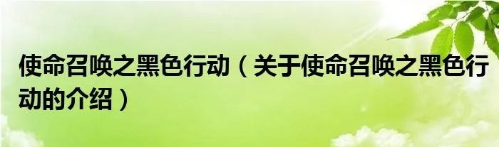 使命召唤之黑色行动（关于使命召唤之黑色行动的介绍）