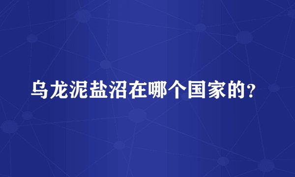 乌龙泥盐沼在哪个国家的？