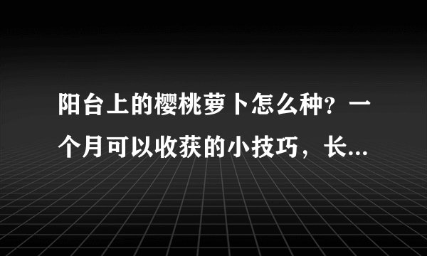 阳台上的樱桃萝卜怎么种?一个月可以收获的小技巧,长势喜人。