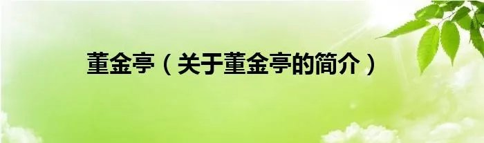董金亭（关于董金亭的简介）