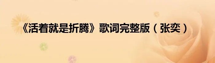 《活着就是折腾》歌词完整版（张奕）