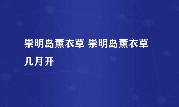 崇明岛薰衣草 崇明岛薰衣草几月开