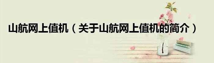 山航网上值机（关于山航网上值机的简介）