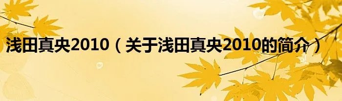 浅田真央2010（关于浅田真央2010的简介）