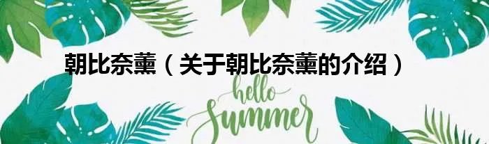 朝比奈薰（关于朝比奈薰的介绍）