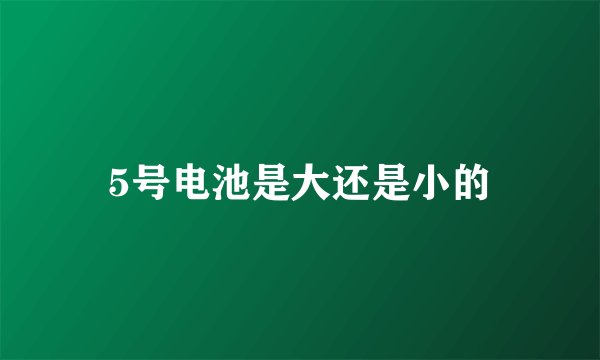 5号电池是大还是小的