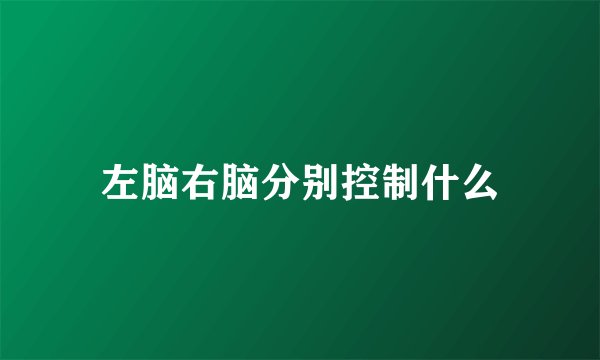 左脑右脑分别控制什么