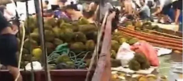 哄抢榴莲村民食物中毒，中毒原因是什么