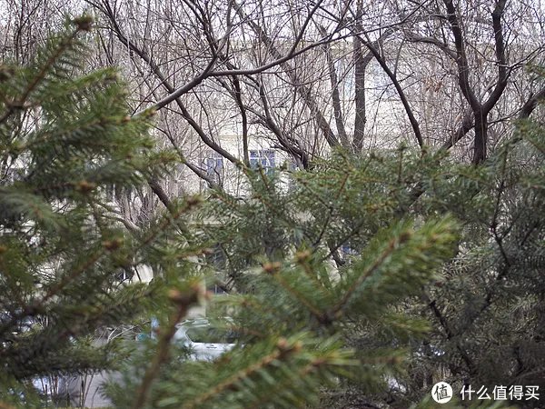 一个过时的备机:RICOH 理光 GX200